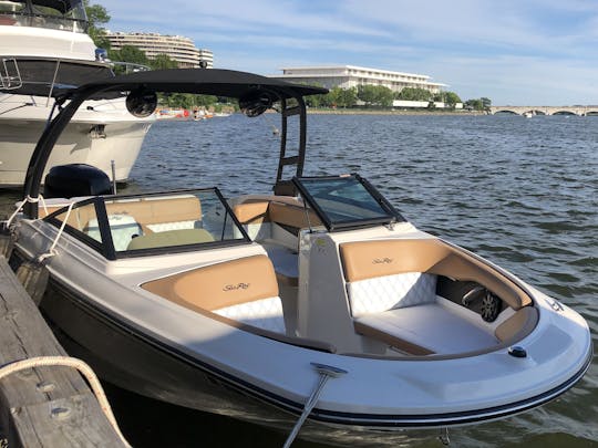 Sea Ray SPX 210 Bowrider 2017