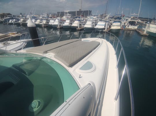 45ft Maxum Motor Yacht in Cabo