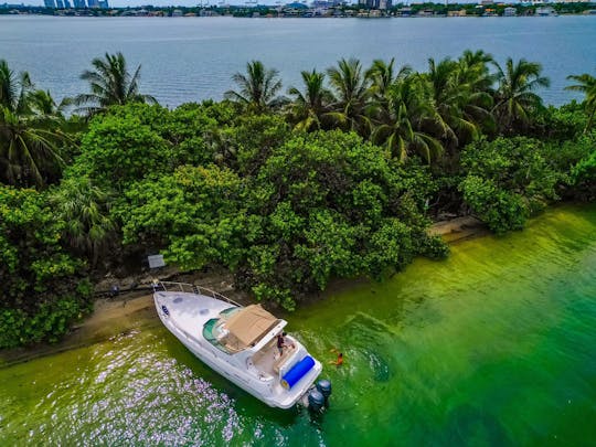 マイアミをスタイリッシュに体験-40フィートクルーザー 🛥️🌴