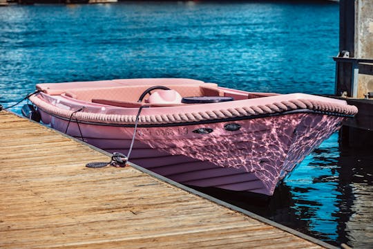 Bateau à moteur Lago Amore de 19 pieds