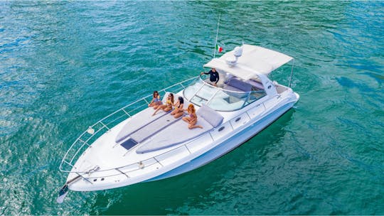 42ft Sea Ray 400 Sundancer. Balandra Beach Private Snorkelling (w/ Sea Lions)