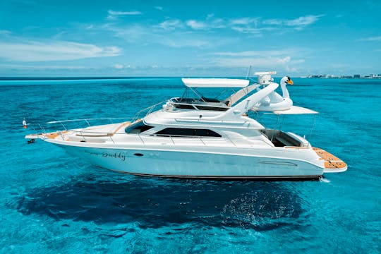 Amazing Sea Ray 50 ft, up to 18 guests with Inflatables & Paddle Board
