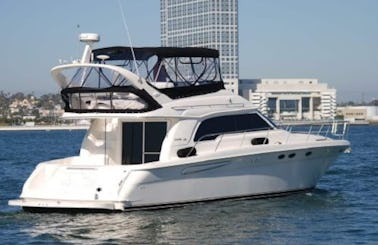 Luxurious Private Yacht Experiences Await Aboard this 53' Sea Ray for up to 12!