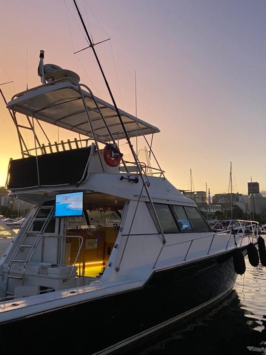 Marés Hunter 50ft Powerboat for 20 people in Rio de Janeiro