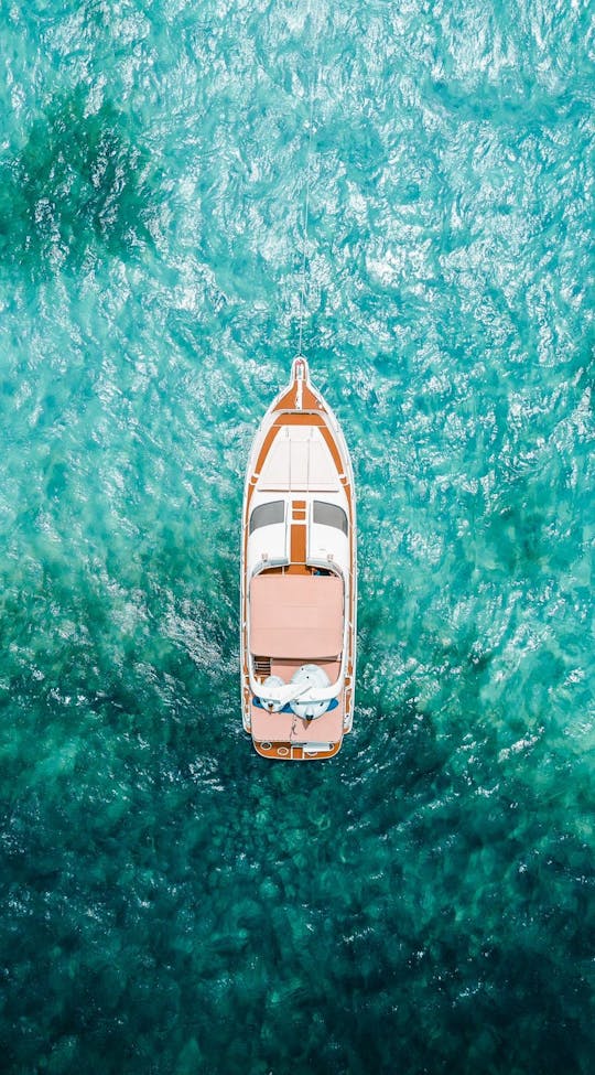 Mr Sea, Sea Ray 50 Ft peut accueillir jusqu'à 18 personnes avec structures gonflables et planche à pagaie !