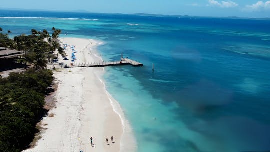 Passeio de barco privado | Ilha Icacos de Fajardo PR ou Ilha Palomino | Sea Bob incluído