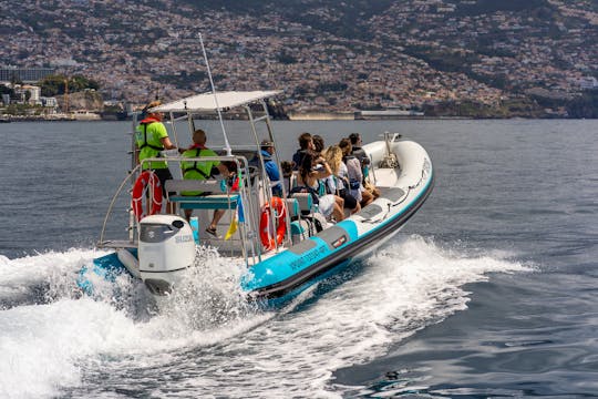RIB Speed Boat Rental - Snorkel and Relaxation on the Coast of Madeira