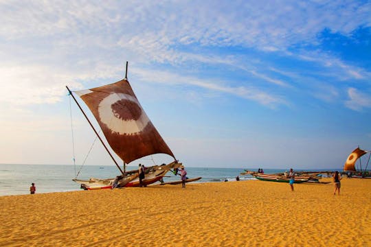 Catamaran Sunset Sailing in Mount Lavinia, Sri Lanka