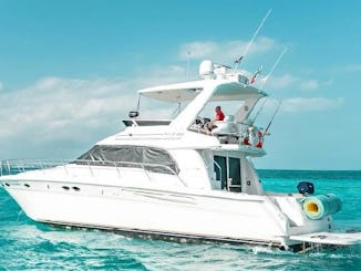 SEA RAY FLYBRIDGE de 53 pies en Cancún: ¡capacidad para hasta 18 personas!