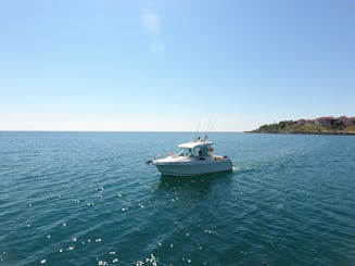 Excursion de pêche de 4 heures de l'équipe de pêche Vivaneau dans la baie de Burgas 