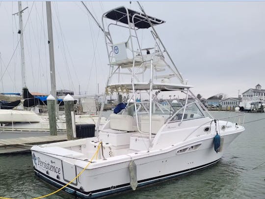 Partindo para um dia especial com o barco expresso Pro-Line 33