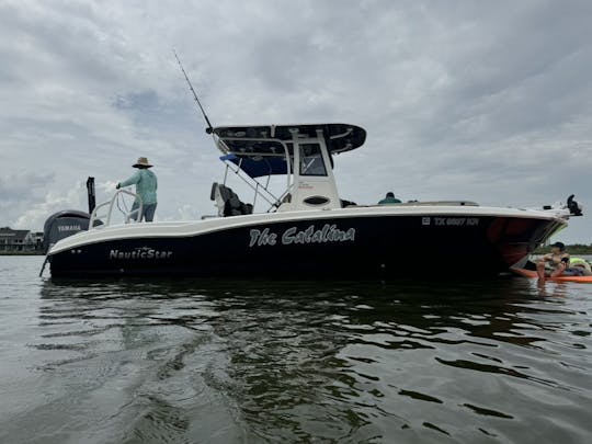 Catalina Day/Sunset Cruises and Dolphin Watch in Galveston and Kemah/Clear Lake.