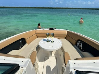 Journée spectaculaire à Miami avec capitaine | Terrasse Sea Ray de 24 pieds | Carburant inclus