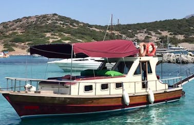 Daily Boat in Bodrum 