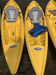 Kayaks U.P. en alquiler 