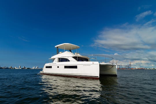 Yacht Leopard 43 NH Power Cat