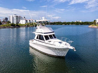 36ft Riviera Cruising Yacht & Sportfishing Trips in Mazatlan