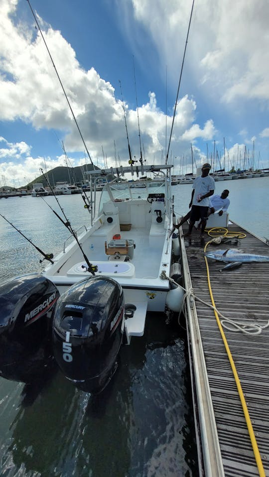 Pesca leve a bordo do Dusky Cuddy Cabin