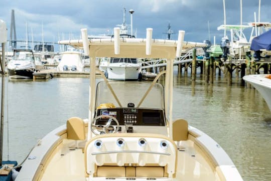 Scout 215 XSF : puissance, performances et design haut de gamme