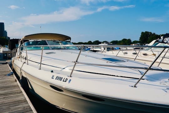 Yate de lujo Sea Ray Sundancer de 42 pies: ¡ideal para excursiones!