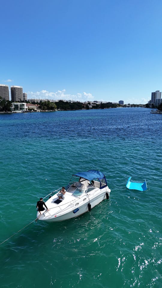 todas as tarifas incluem Captain- Charter In Style - SeaRay 260 Sundancer