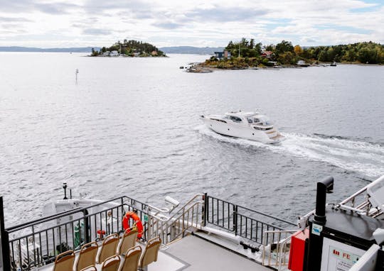 Cruzeiro turístico de 2 horas em Oslofjord