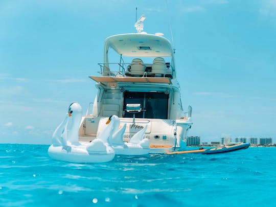 Oustanding Sea Ray 52 ft, up to 20 guests included, with Inflatables & Paddle!