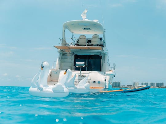 Oustanding Sea Ray 52 ft, up to 20 guests included, with Inflatables & Paddle!