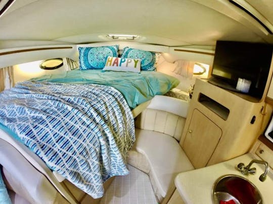 VIP Regal 34' Charter – Where Comfort Meets Class