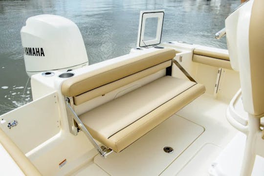 Scout 215 XSF : puissance, performances et design haut de gamme