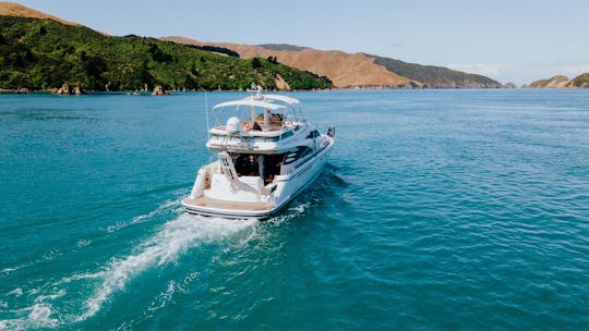 Ultimate Luxury Getaway in Marlborough Sounds, New Zealand