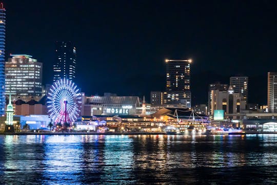 Luxury Cruising in Osaka/ Kobe on 50ft Sea Ray.