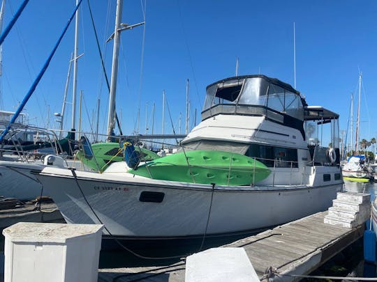 Yacht Carver de 38 pieds à Los Angeles !