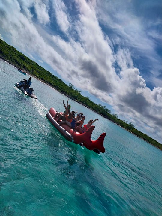 Private boat to explore Pigs Turtle Snorkeling and Beaching 