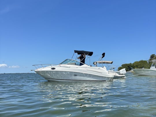 Sea ray sundancer 240 with room and a/c