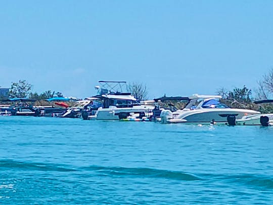 Marco Island - Shelling / Keewaydin Island