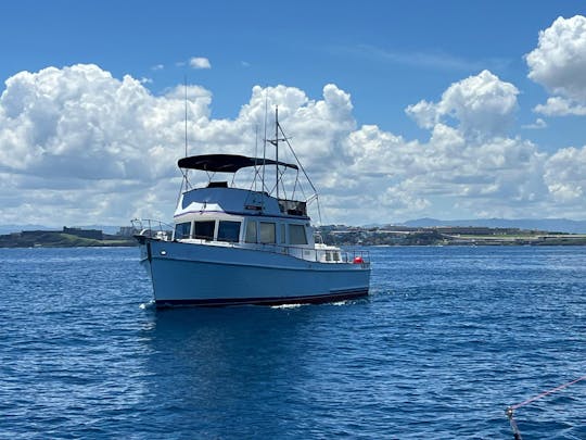 San Juan Bay: Day Cruise | Drink & Snacks •