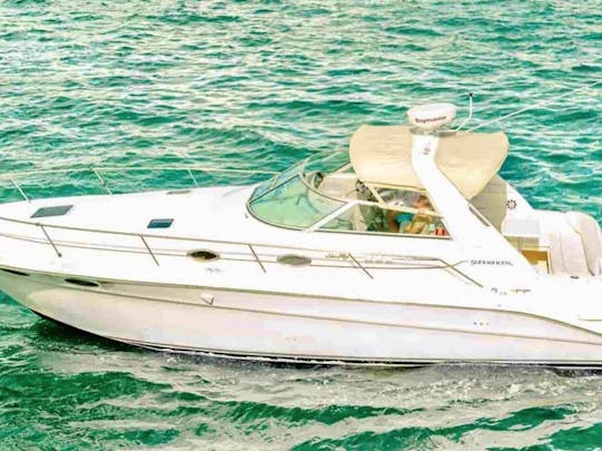 Perfect Yacht for Fort Lauderdale | 38' Sea Ray Sundancer