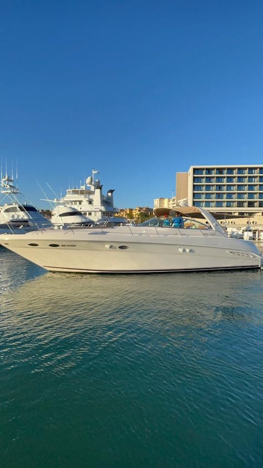 Amazing 40ft yacht in Los Cabos