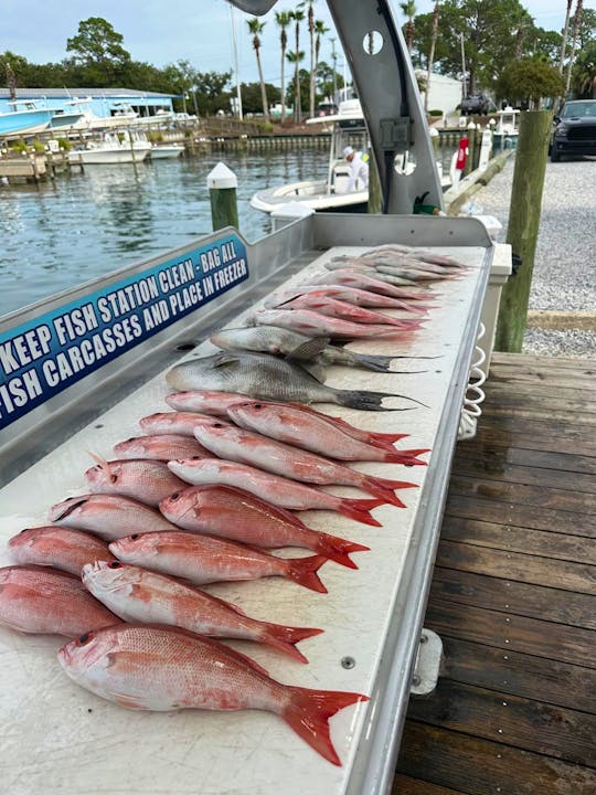 Fishing Charters on a Pro-Line 24 Sport in Destin FL!