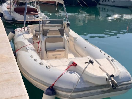 Dia perfeito no mar com BSC RIB de 25 pés
