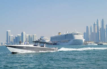 45ft New 2023 American Mercury for 12 guest in Dubai Marina