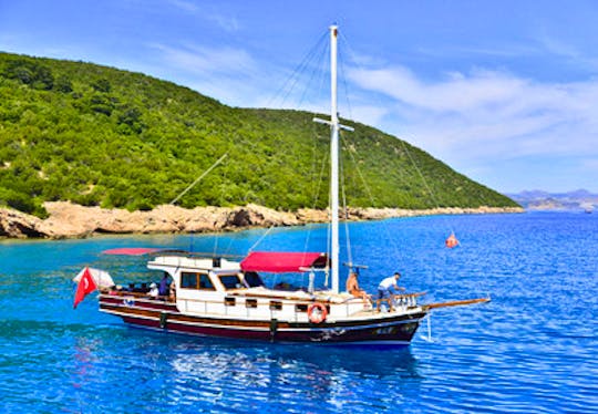 Bodrum Private Boat Tour Aboard Gulet 48' Yacht