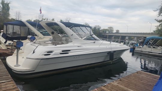 Luxury Boat Wellcraft 40"