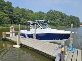 Barco de pesca e diversão para a família Edgewater Dual Console 2023. 