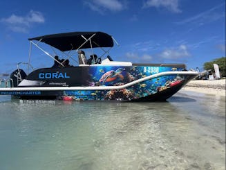 Private luxe snorkeling in Aruba - Bayliner Element XR7