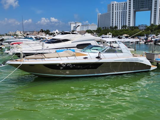 Sea Ray Sundancer impecável de 42 pés