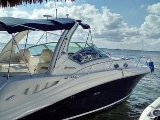 ¡Cuddy Sea Ray Sundancer de 40 pies para una escapada de verano en el mar!
