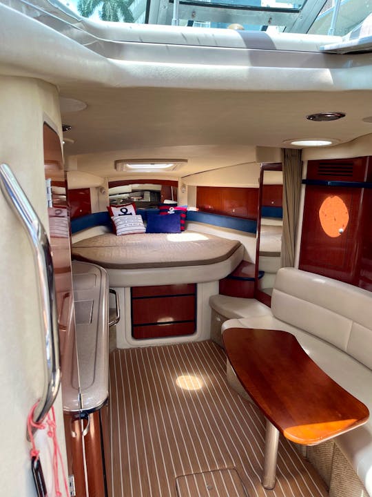 40' Sea Ray Cruiser Yacht - Enjoy a Magnificent Day 🛥️ 