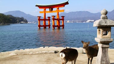 ¡Impresionante crucero privado en Miyajima! ¡Podemos ofrecer sesiones de fotos con un dron!